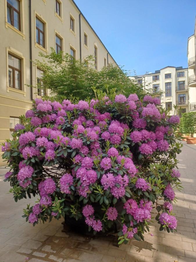 Apartament Piotrkowska 37 Studio วูดช์ ภายนอก รูปภาพ