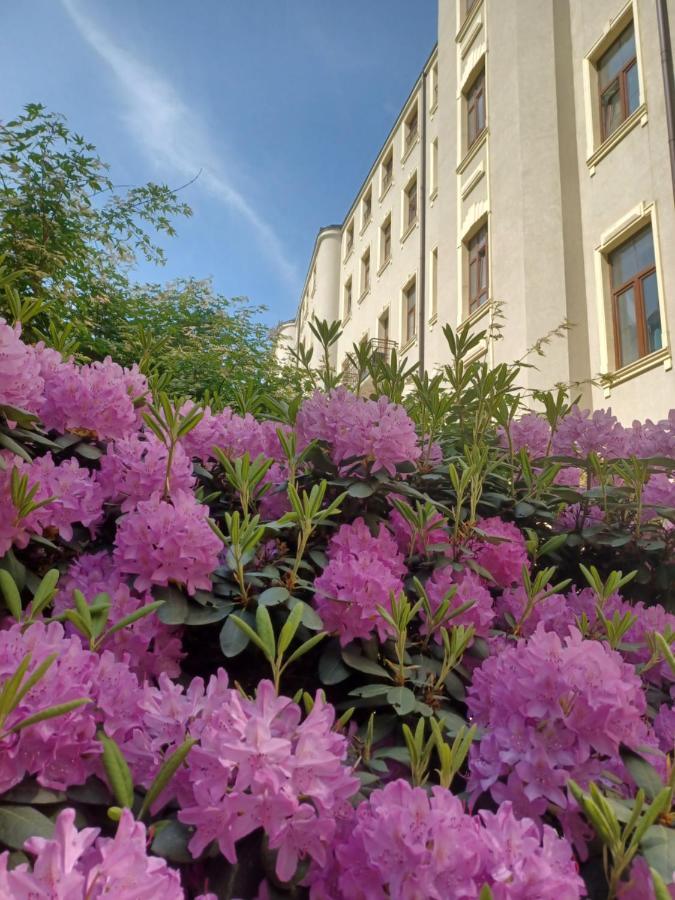 Apartament Piotrkowska 37 Studio วูดช์ ภายนอก รูปภาพ